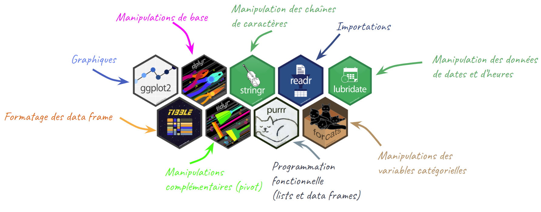 Ma nouvelle formation : Devenez un utilisateur accompli de R, avec ...