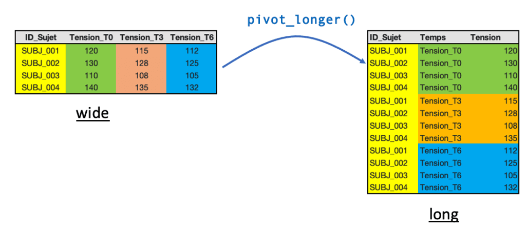 Transformation du format wide vers le format long avec pivot_longer sous R