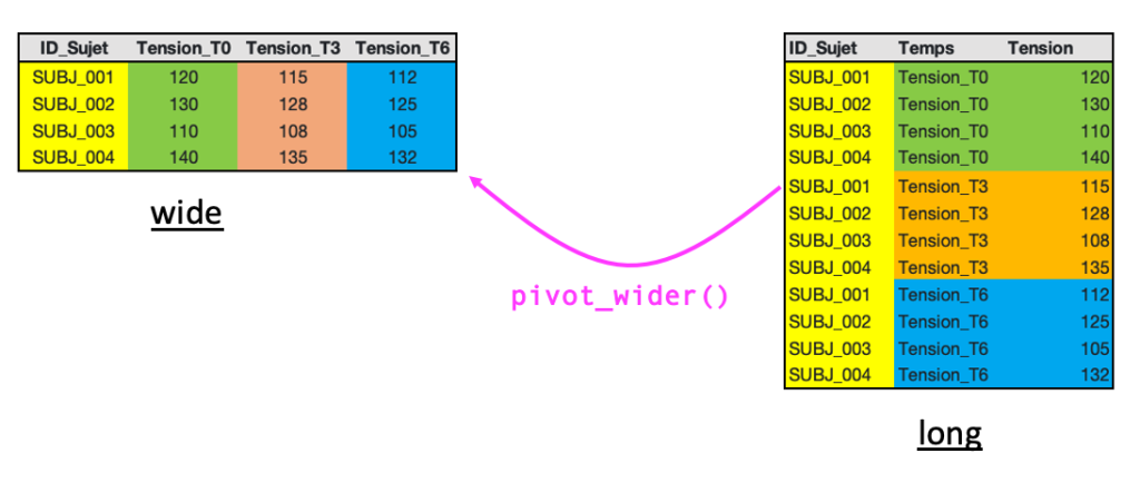 Transformation du format long vers le format wide avec pivot_wider sous R
