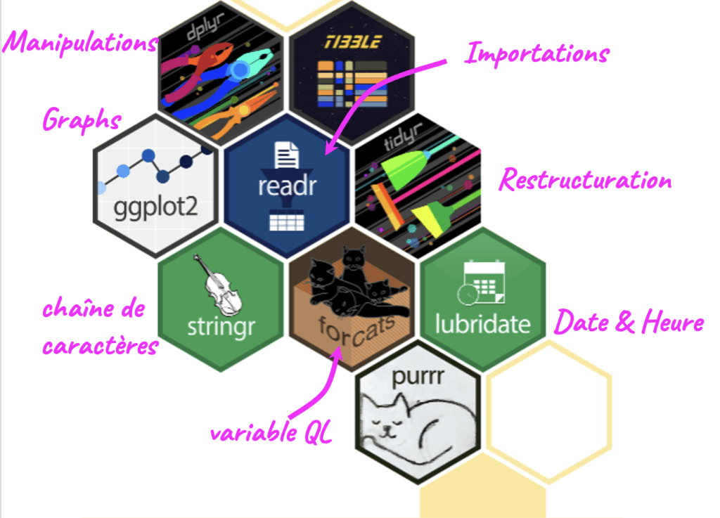 Packages principaux du méta-package tidyverse sous R